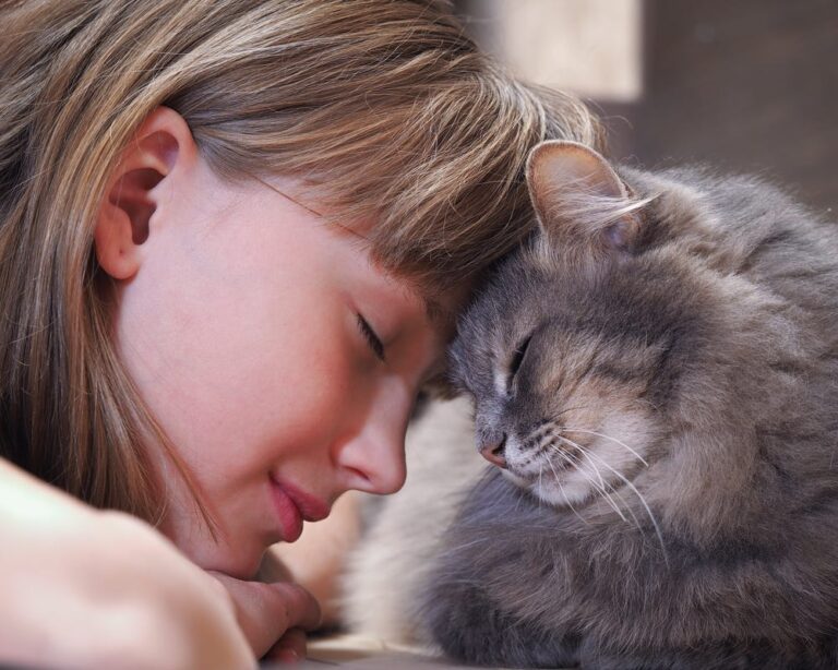 Understanding Feline Behavior Patterns